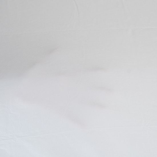 Coprimaterasso Usa e Getta Impermeabile 50 gr per Alberghi, Hotel, B&B Coprimaterasso Usa e Getta Impermeabile 50 gr per Alberghi, Hotel, B&B