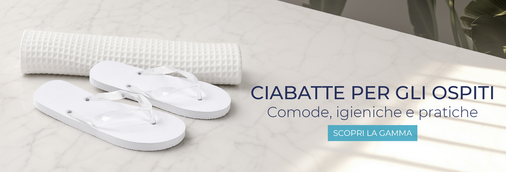 Ciabatte