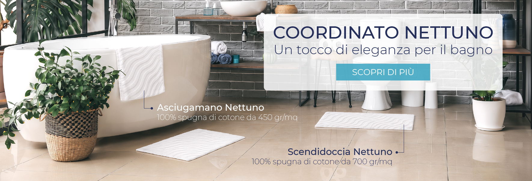 Coordinato Nettuno