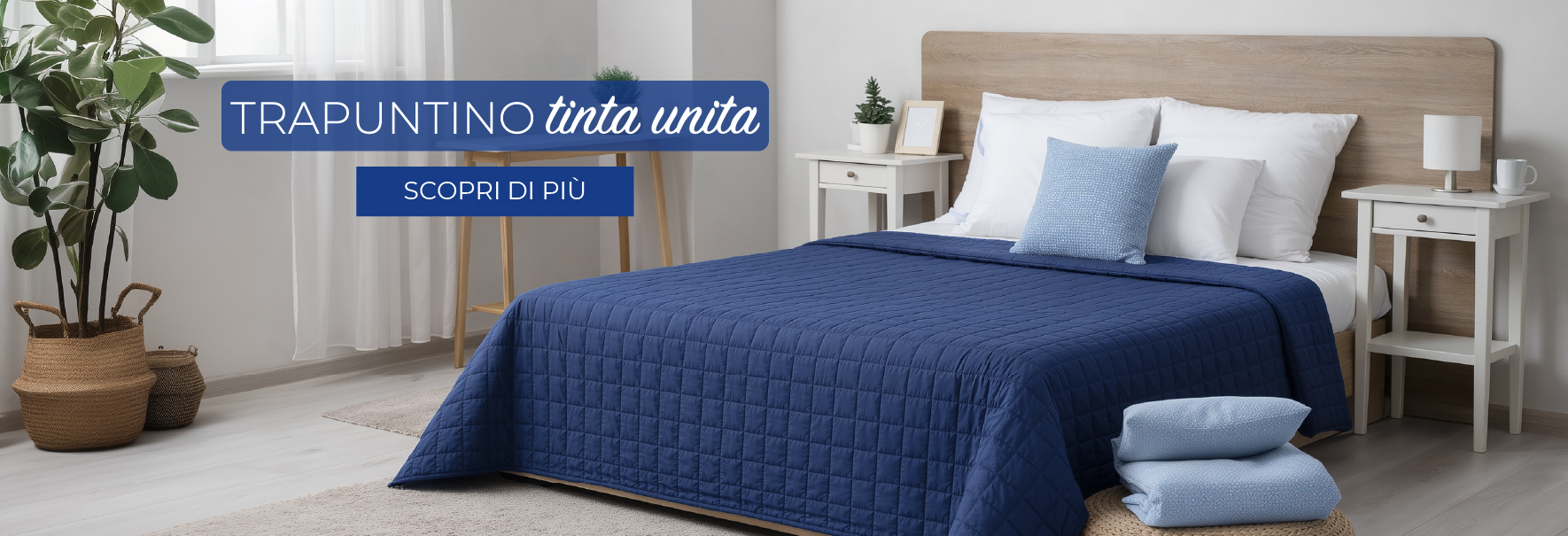 Trapuntini tinta unita 2026