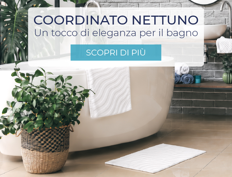 Coordinato Nettuno
